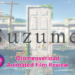 Otomeoverload Suzume Review
