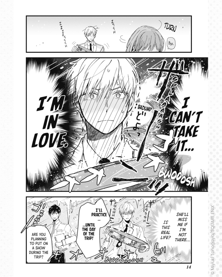 BM_Reviewer_iceguy_1_14 otomeoverload